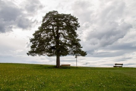 Kempten: Tour (Kempten)