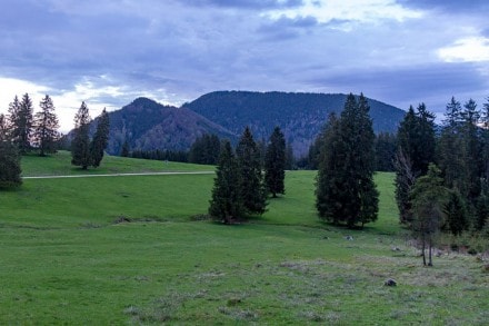 Ammergauer Berge: Vom Goergeleck zum Buchenberg über den Flysch im Röthenbachtal (Schwangau)