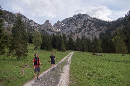 Ammergauer Berge: Bergtour auf das Spitzigschröfle und den Latschenschrofen (Schwangau)
