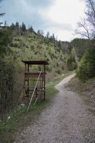 Ammergauer Berge: Pechkopf (Schwangau)