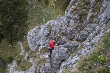 Ammergauer Berge: Spitzigschröfle (Schwangau)