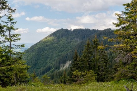 Oberallgäu: Wertacher Hörnle (Oberjoch)