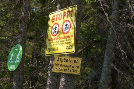 Oberallgäu: Wald-Wild-Schongebiet (Oberjoch)