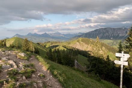 Oberallgäu: Gratweg vom Wertacher Hörnle und Spieser (Oberjoch)