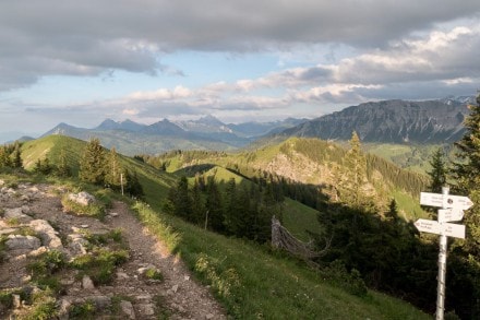 Oberallgäu:  (Oberjoch)