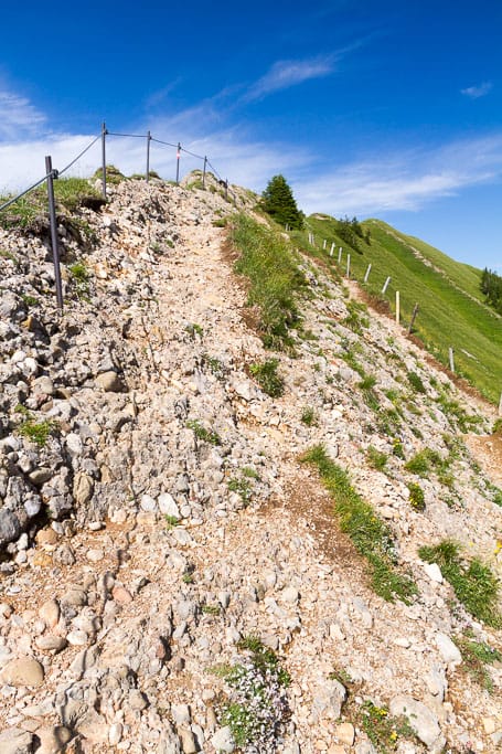 Nagelfluhkette (Geotop Nr. 77)<br />(Gunzesried - Oberallgäu / 2017)