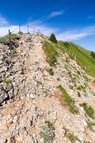 Oberallgu: Nagelfluhkette (Geotop Nr. 77) (Gunzesried)