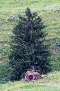 Oberallgäu: Findling bei der Schneidenbach Alpe (Gunzesried)