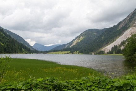 Tannheimer Tal: Verlandungsmoor am Vilsalpsee (Tannheim)