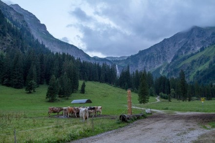 Tannheimer Tal: Der 50m hohe Wasserfall Bergaicht am Vilsalpsee (Tannheim)