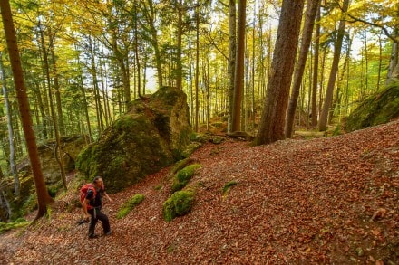 Oberallgäu: Teufelsküche Geotop Nr. 43 (Obergünzburg)