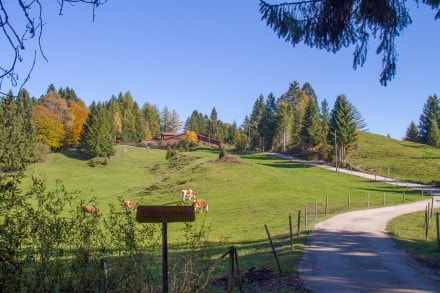 Ostallgäu: Wanderweg zur Beichelsteinalpe (Füssen)