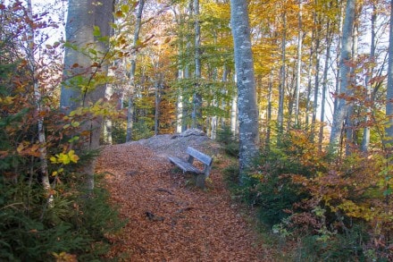 Ostallgäu: Senkelekopf (Füssen)