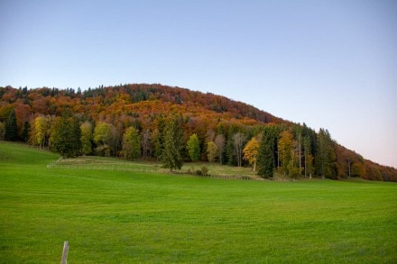 Ostallgu: Herbsttour auf den Senkelekopf bei Fssen (Fssen)