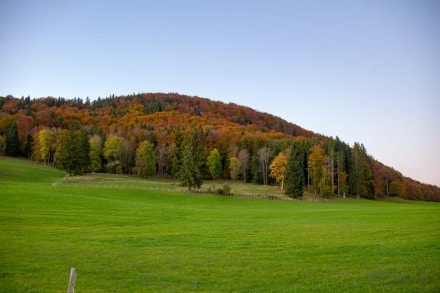 Ostallgäu:  (Füssen)