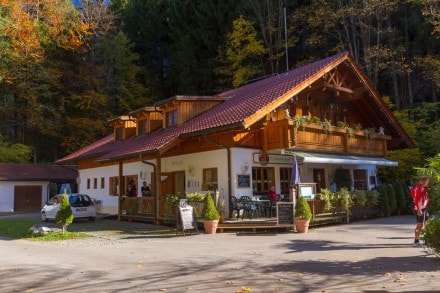 Ostallgäu: Waldwirtschaft am Mittersee (Füssen)