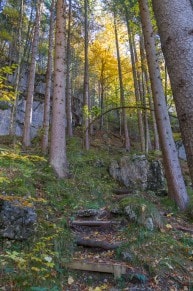 Ostallgäu: Schwärzerweg (Füssen)