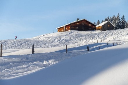 Oberallgäu: Obere Balderschwanger Alpe (Balderschwang)