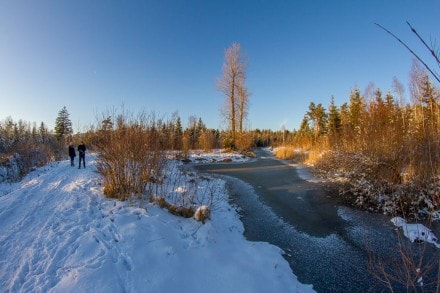 Oberallgäu:  (Immenstadt)