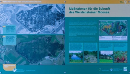 Info: Maßnahmen für die Zukunft des Werdensteiner Moos