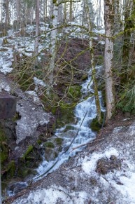 Oberallgäu: Tobel (Oberstdorf)