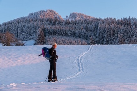 Oberallgäu:  (Nesselwang)