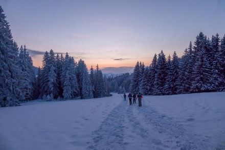 Oberallgäu: Alpspitze mit Einkehr in Sepps Stadelalm (Nesselwang)