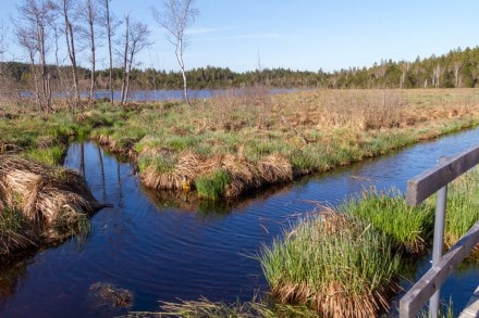 Ravensburg: Badeseerunde am Ursee bei Isny (Isny)