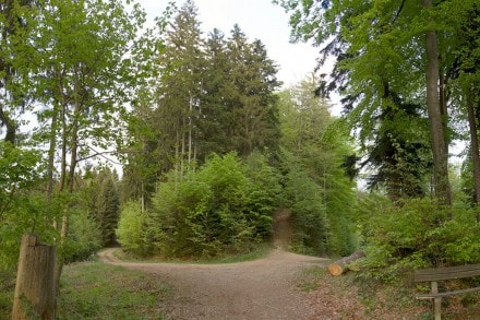 Eistobel (Geotop Nr. 48), Ruine Hohenegg und Riedholzer Kugel