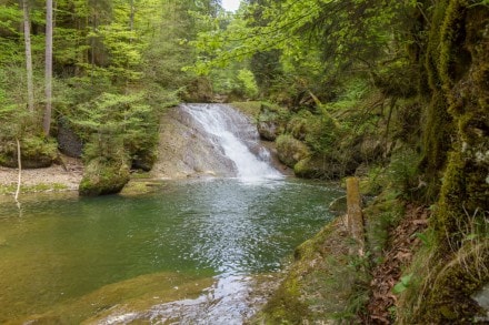 Westallgäu: Eistobel Geotop Nr. 48 (Maierhöfen)