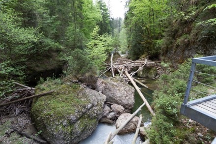 Westallgäu: Eistobel (Geotop Nr. 48), Ruine Hohenegg und Riedholzer Kugel (Maierhöfen)