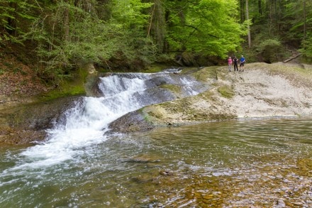 Westallgäu: Tour (Maierhöfen)