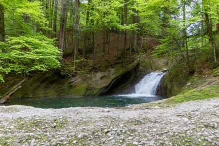Westallgäu: Großer Wasserfall (Maierhöfen)