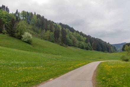 Salmaser- und Thaler Höhe von Missen aus