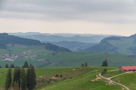 Oberallgu: Trhers Alpe (Missen)