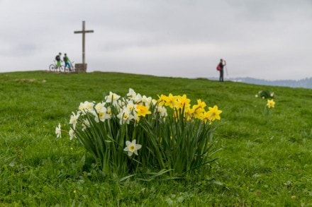 Oberallgäu:  (Missen)