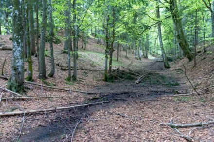 Oberallgu: Tour (Missen)