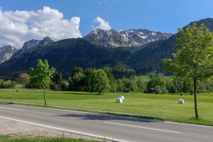 ber die Burg Falkenstein zum Zwlferkopf und Salober