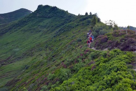 Oberallgäu: 5-Gipfel-Tour von der Höllritzer Alpe im Gunzesrieder Tal (Sonthofen)