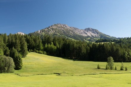 Oberallgäu:  (Oberjoch)