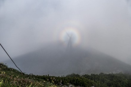 Oberallgäu: Glorie Effekt (Glorienschein oder Halo-Effekt) (Oberjoch)