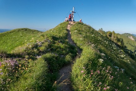 Oberallgäu: Gündleskopf (Gunzesried)