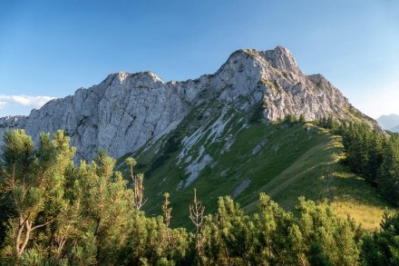 Tannheimer Tal: Gaichtspitze (Nesselwängle)