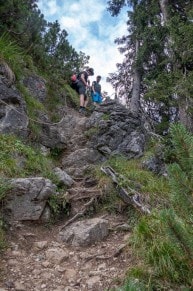 Oberallgu: Weg zum Breitenberg (Hinterstein)