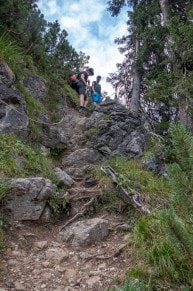 Oberallgäu: Weg zum Breitenberg (Hinterstein)