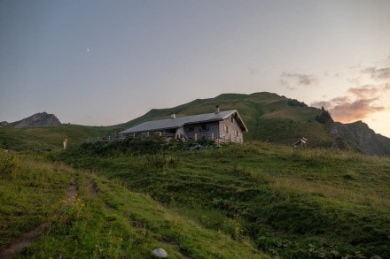 Tannheimer Tal: Gappenfeldalm (Tannheim)