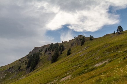 Tannheimer Tal: Tour (Nesselwngle)