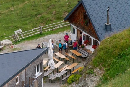 Tannheimer Tal: Gräner Ödenalpe (Nesselwängle)