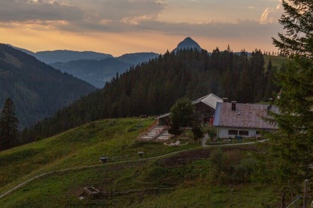 Tannheimer Tal: Edenalpe Nesselwängle (Nesselwängle)