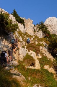 Ammergauer Berge: Säuling (Reutte)